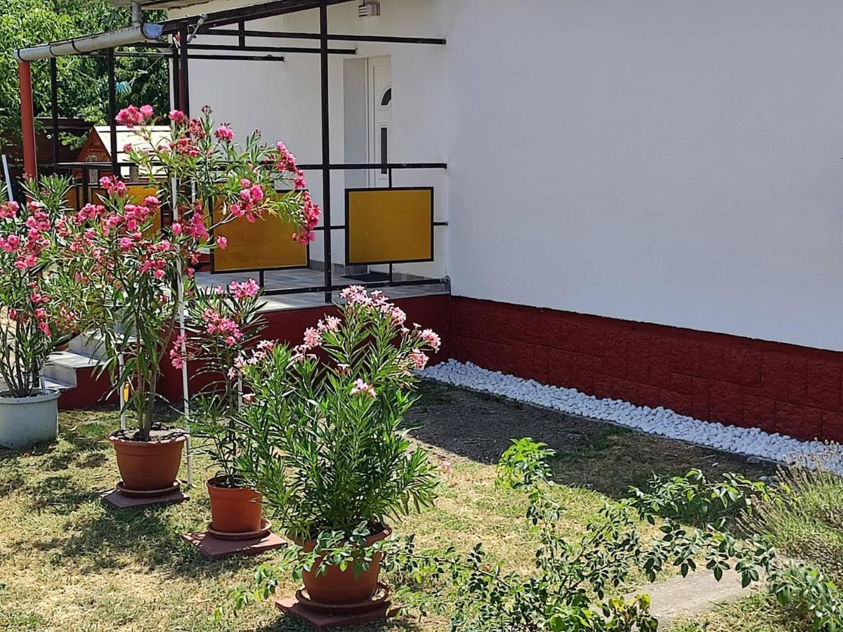 Apartment Terrace