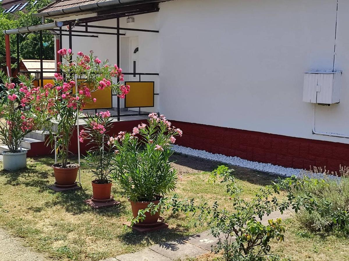Apartment Terrace