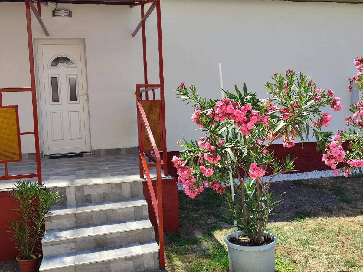 Apartment Terrace