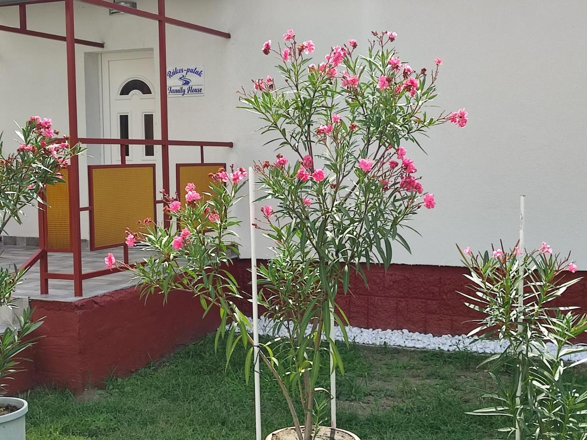 Apartment Terrace