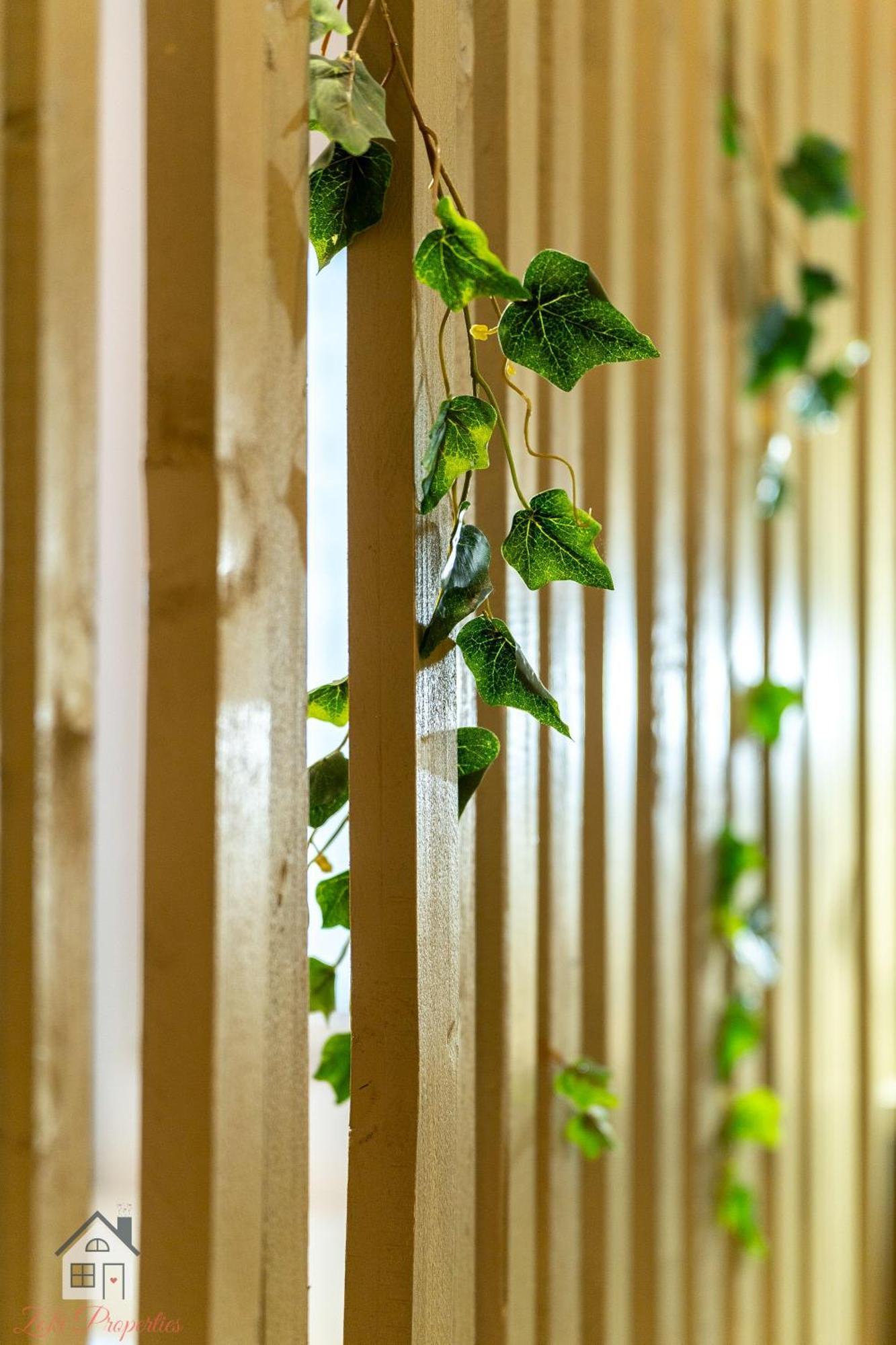 Studio Moss
