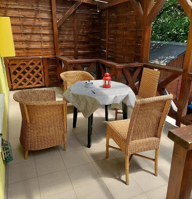 Dizike Pet-Friendly Guesthouse-1