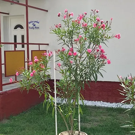Rakos-Patak Family House Garden & Free Parking-2