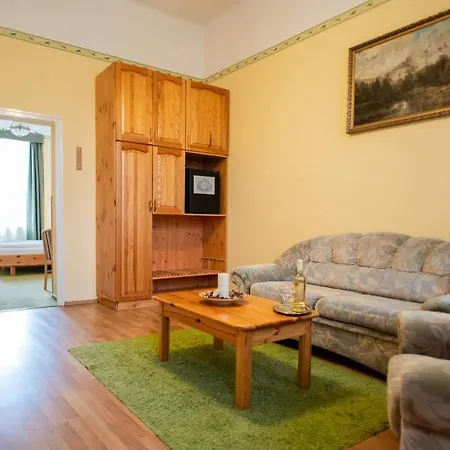 Hotel Manzard Panzio-3