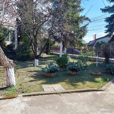 Dizike Pet-Friendly Guesthouse-2